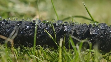 Wąż Kroplujący POCĄCY AQUA-DROP Nawadniający 50m WAD1/2050