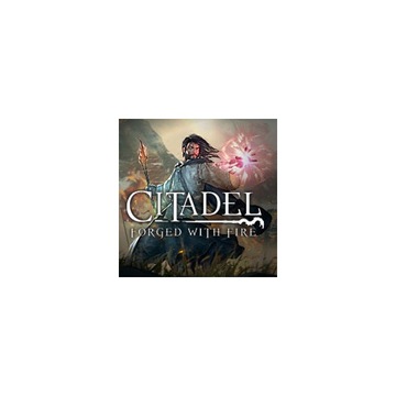 Цитадель, выкованная огнем PS4, новинка