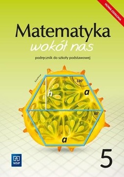 MATEMATYKA WOKÓŁ NAS - Podręcznik SP 5 WSiP