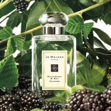 Jo Malone Blackberry and Bay одеколон 100мл женский EDC
