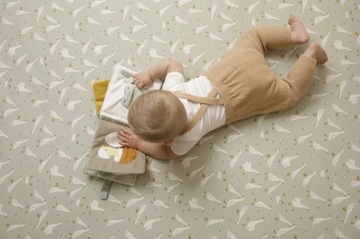 Little Dutch Детская книжка, активирующая Little Goose