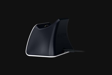Игровой аксессуар Razer RC21-01900100-R3M1