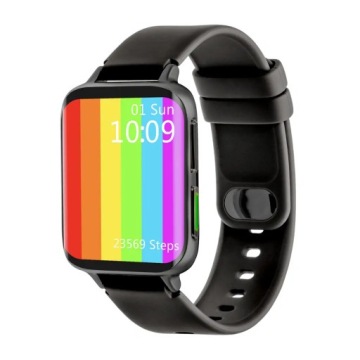 T2546 Умные часы Watchmark Smartone черный