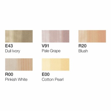 Набор маркеров для кожи Copic Ciao 5+1