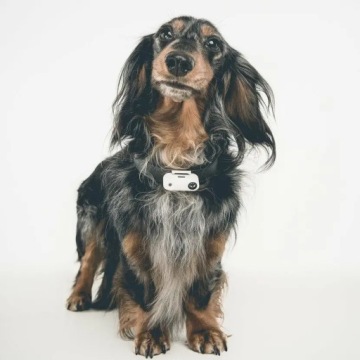 Tickless Run Blue средство от клещей для человека.