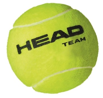 Теннисные мячи для руководителей команды x 4