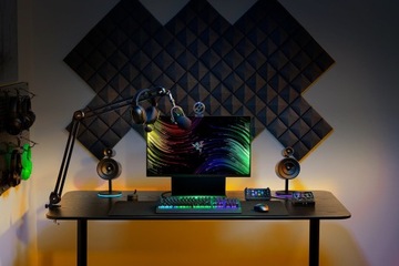 Консоль потокового вещания Razer RZ20-04350100-R3M1, черная