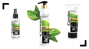 Cameleo Jedwab do włosów zniszczonych 55 ml