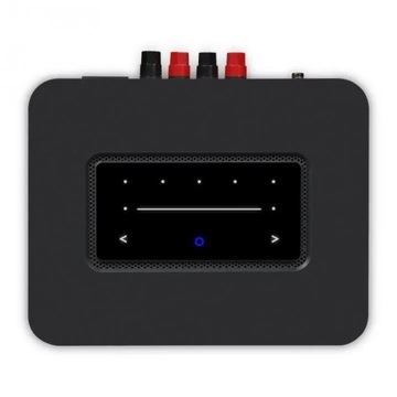 Bluesound POWERNODE (black)