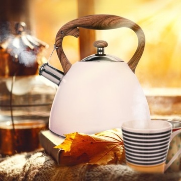 Белый стальной чайник со свистком, 3,5 л.