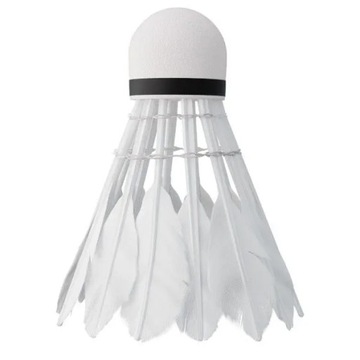 NILS Набор из 6 перьевых воланов для бадминтона