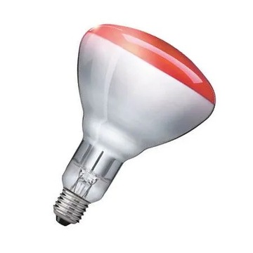Promiennik lampa grzewcza kwoka 150W czerwona BR125 IR E27 CL 1CT/10