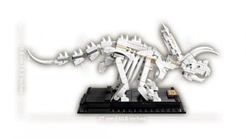 Идеи LEGO 21320 скелеты динозавров