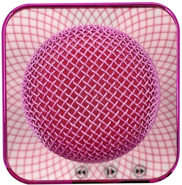 МИКРОФОН С КАРАОКЕ-ДИНАМИКОМ – ОТЛИЧНЫЙ ПОДАРОК