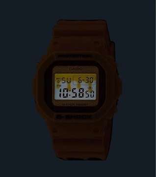 Zegarek męski G-SHOCK DW-5600SLC-9ER