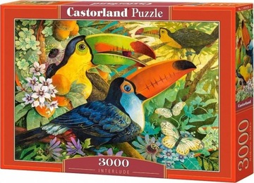 Puzzle Castorland Puzzle 3000 elementów Puzzle Interlude 3000 300433