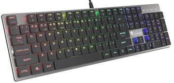 Механическая клавиатура Genesis Thor 420 RGB