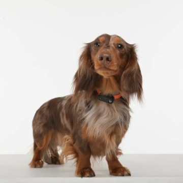 Tickless Run Blue средство от клещей для человека.