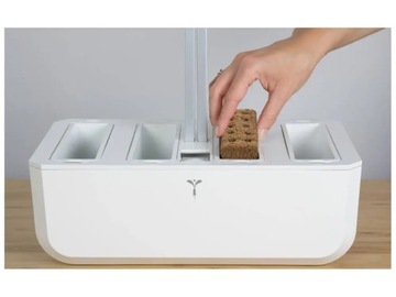 Вставка для семян Lingot с семенами мяты Véritable