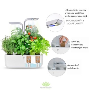 Настоящая Классика