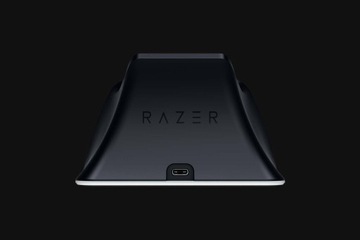 Игровой аксессуар Razer RC21-01900100-R3M1