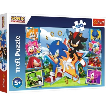 SONIC Puzzle TREFL 100 EL 16465