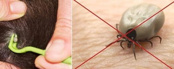 Крючки для удаления клещей, набор из 3 штук, лапки для животных, собак и кошек