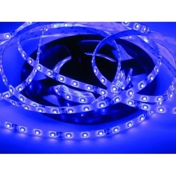 Светодиодная лента Синяя IP65 Водонепроницаемость 4,8 Вт/м 5 м