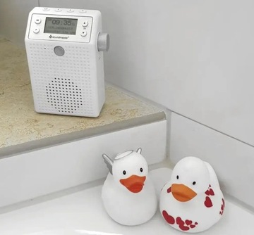 Сетевое радио DAB+ и аккумулятор, FM Soundmaster DAB60WE