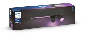 Philips Hue Centris 2-spot black special form BT