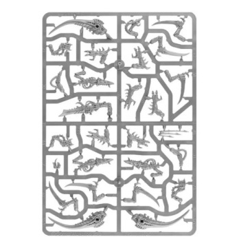 Тираниды-воины, Warhammer 40000