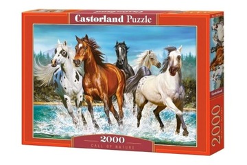 Puzzle Castorland NATURA 2000 elementów Puzzle Call of Nature 2000 2007022