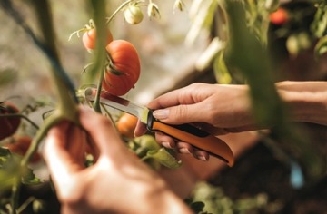 FISKARS X-SERIES K80 Изогнутый складной нож для заготовки грибов, фруктов и овощей