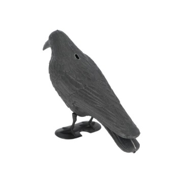 Пугало - ворона