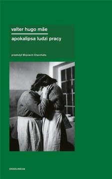 Apokalipsa ludzi pracy Valter Hugo Mãe