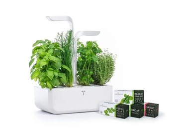 Настоящая Классика