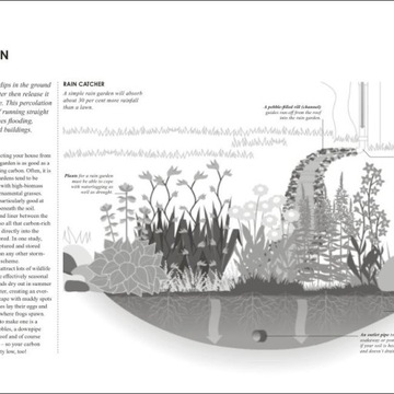 RHS Как заниматься садоводством с низким уровнем выбросов углекислого газа: шаги, которые вы можете предпринять, чтобы помочь Comba