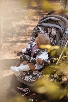 Чехлы на ремни для колясок - Орнитология