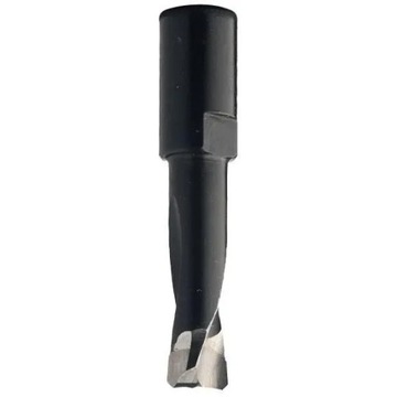 CMT frez trzpieniowy do Festool Domino 380.100.11
