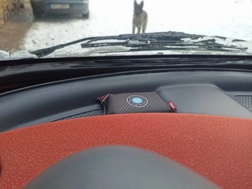 Поглотитель влаги и осушитель PINGI