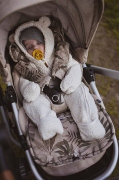 Чехлы на ремни для колясок - Орнитология