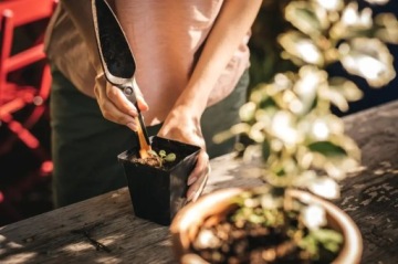 SOLID ПОСЕВНАЯ ТЕНЯ /1057641/ FISKARS