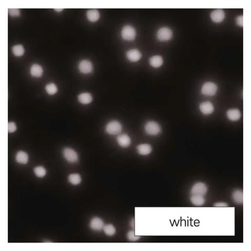 MAS24 СВЕТОДИОДНЫЙ СНЕГОПАДАЮЩИЙ ПРОЕКТОР EMOS DCPC03 IP44