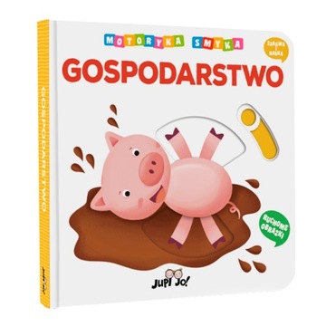 Motoryka Smyka - Gospodarstwo, Praca zbiorowa