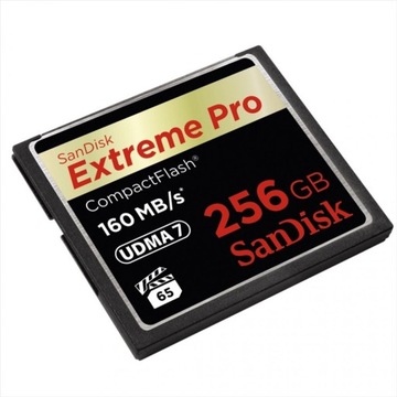 SANDISK 256 ГБ Compact Flash EXTREME PRO CF 160 МБ/с