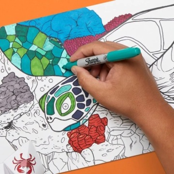 Набор маркеров CREATIVE Sharpie Cosmic Color 24 штуки В ПОДАРОК