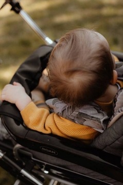 Чехлы на ремни для колясок - Орнитология