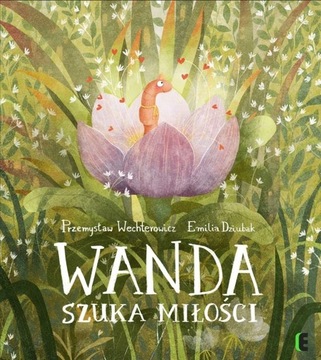 Wanda szuka miłości Przemysław Wechterowicz