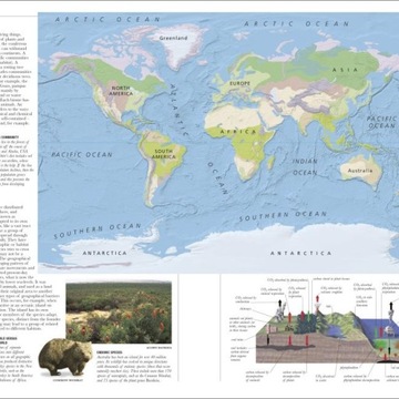 Earth: The Definitive Visual Guide DK