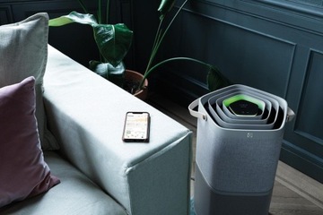 Очиститель ELECTROLUX 950 011 385